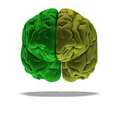 green brain