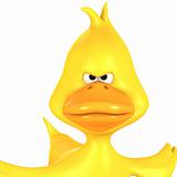 Toon Duck Quack