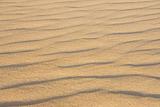 Sand in the desert of the Sahara