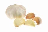 Garlic closeup