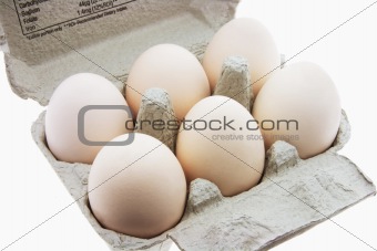 White Eggs on Egg Carton