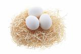 White Eggs on Straw Nest