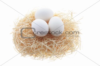 White Eggs on Straw Nest