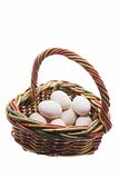 White Eggs in Basket