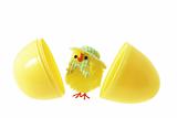 Toy Easter Chick and Egg Shells
