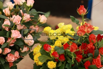Boquet of roses