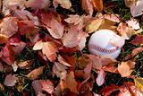 Baseball in fall season