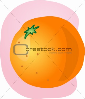 Whole orange illustration