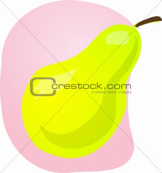 Pear fruit illustration