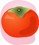 Persimmon fruit illustration