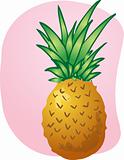 Pineapple fruit illustration