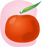 Tangerine fruit illustration