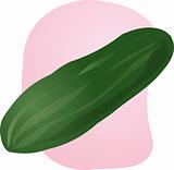 Cucumber illustration