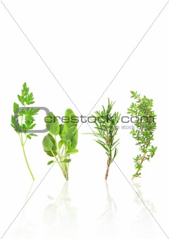 Parsley, Rosemary, Sage and Thyme Herbs