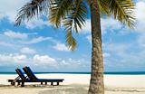 tropical beach with chair