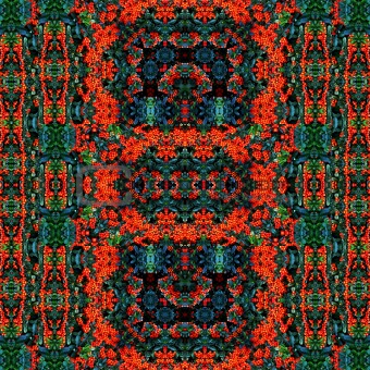 red-green carpet
