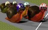 Toon Racing Snails