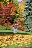 boy playing in fall leaves