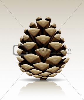 vector pine cone isolated