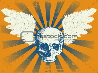 Skull and Wings Grunge Background