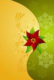 abstract christmas background with poinsettia
