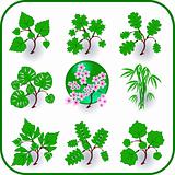 Vector - Green plants, leaves, trees icon symbol set.