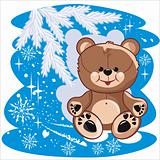 bear winter