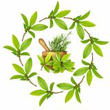 Bay Leaf and Rosemary Herbs