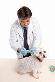 Vet giving dog injectable medication