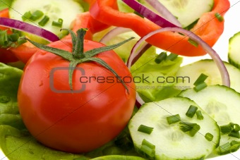 closeup of a tomato on a bed of salad