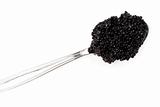 Black caviar on a spoon (up)