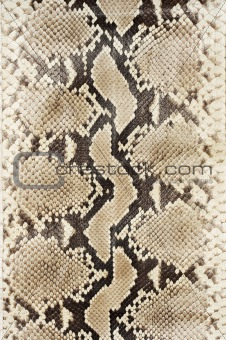 Snake skin leather (vertical)