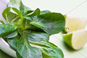 Field salad with lime