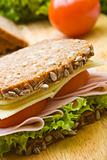 Fresh wholemeal sandwich