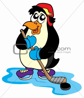 Penguin hockey player