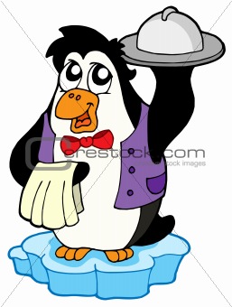 Penguin waiter on icebeg