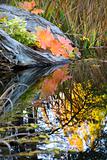 Leaves Water Reflections Fall Colors Van Dusen Gardens 