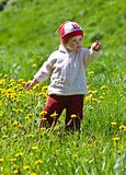 child on the green meadow