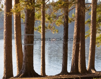 Lake with canoe viewed through trees