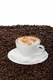 Cappuccino on cofee bean
