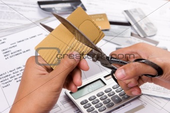 Cut my credit cards