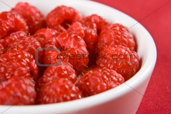 A dish of raspberries