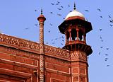 India, Agra: Taj Mahal mosque