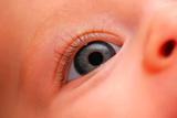 Closeup of a baby eye