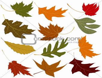 be not blown about as a leaf on the wind be not blown about as a leaf on the wind