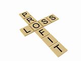 cross words showing profit and loss
