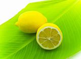 Lemons on green sheet