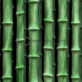 sl green bamboo 3