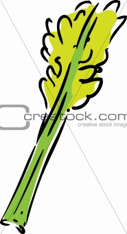 Celery illustration