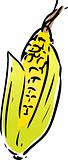 Corn illustration